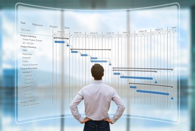IPMA-D