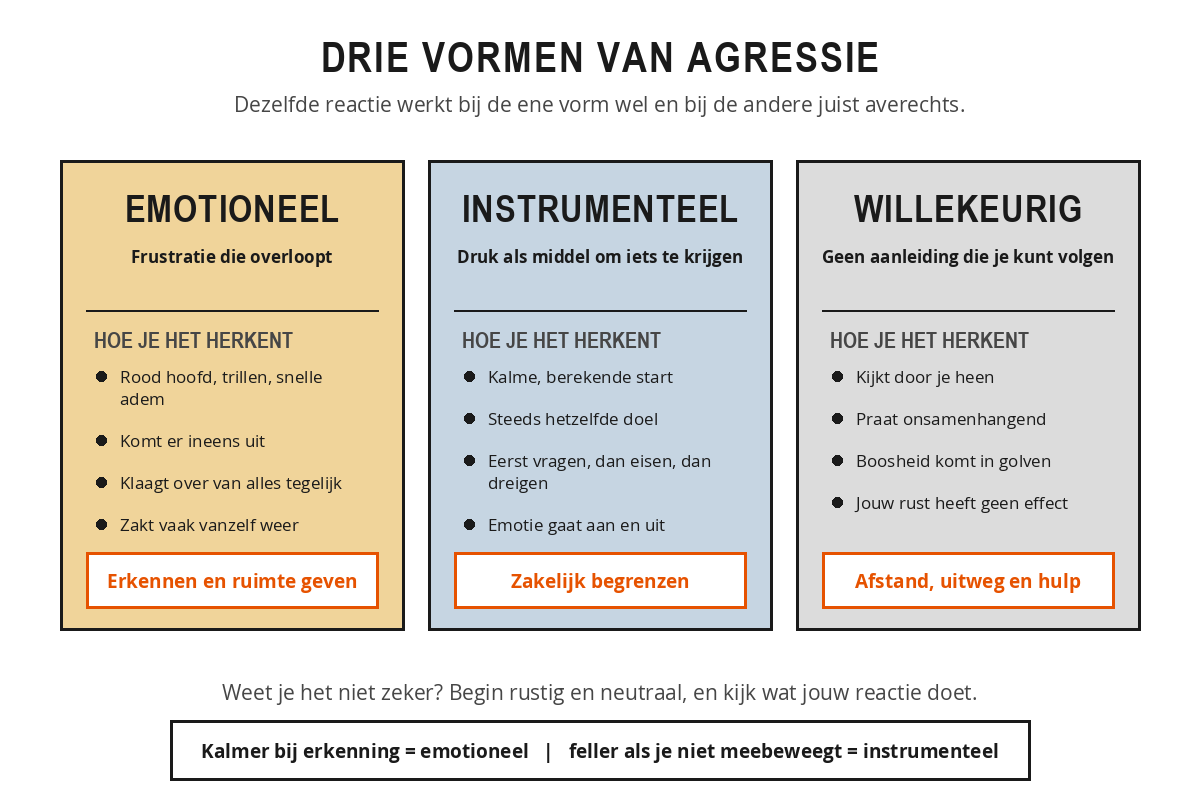 Schema met de drie vormen van agressie naast elkaar: emotionele agressie (frustratie die overloopt, aanpak erkennen en ruimte geven), instrumentele agressie (druk als middel, aanpak zakelijk begrenzen) en willekeurige agressie (geen herleidbare aanleiding, aanpak afstand houden en hulp inschakelen).