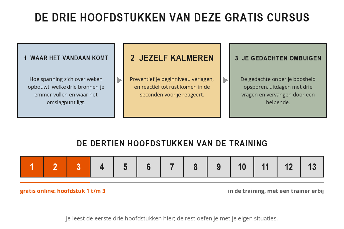 Schema met de drie hoofdstukken van de gratis cursus: waar het vandaan komt, jezelf kalmeren en je gedachten ombuigen, met daaronder een balk van dertien hoofdstukken waarvan de eerste drie gratis online staan.