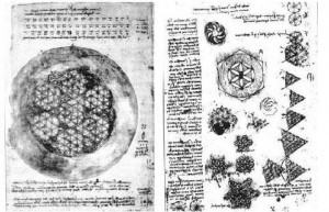 Een schematische afbeelding van een bloem. 