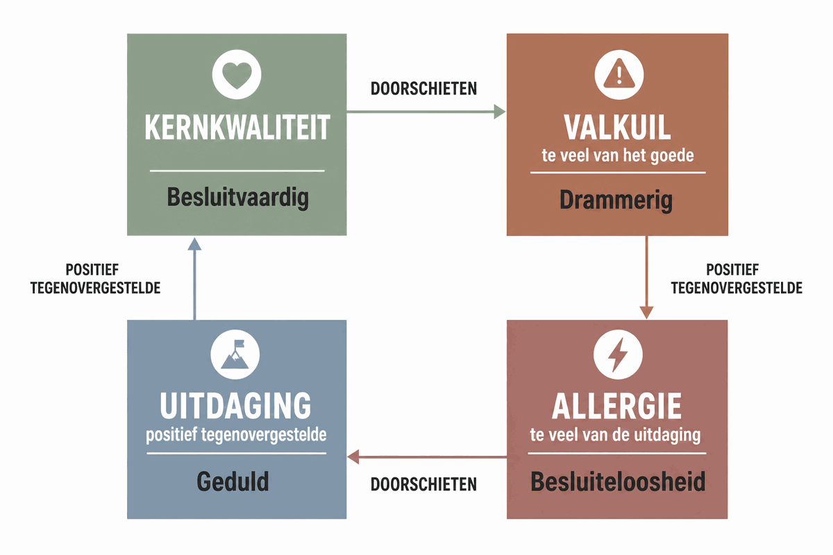 Kernkwadrant van Ofman: kernkwaliteit en valkuil boven elkaar, uitdaging en allergie eronder, met pijlen die 'doorschieten' en 'positief tegenovergestelde' aangeven.