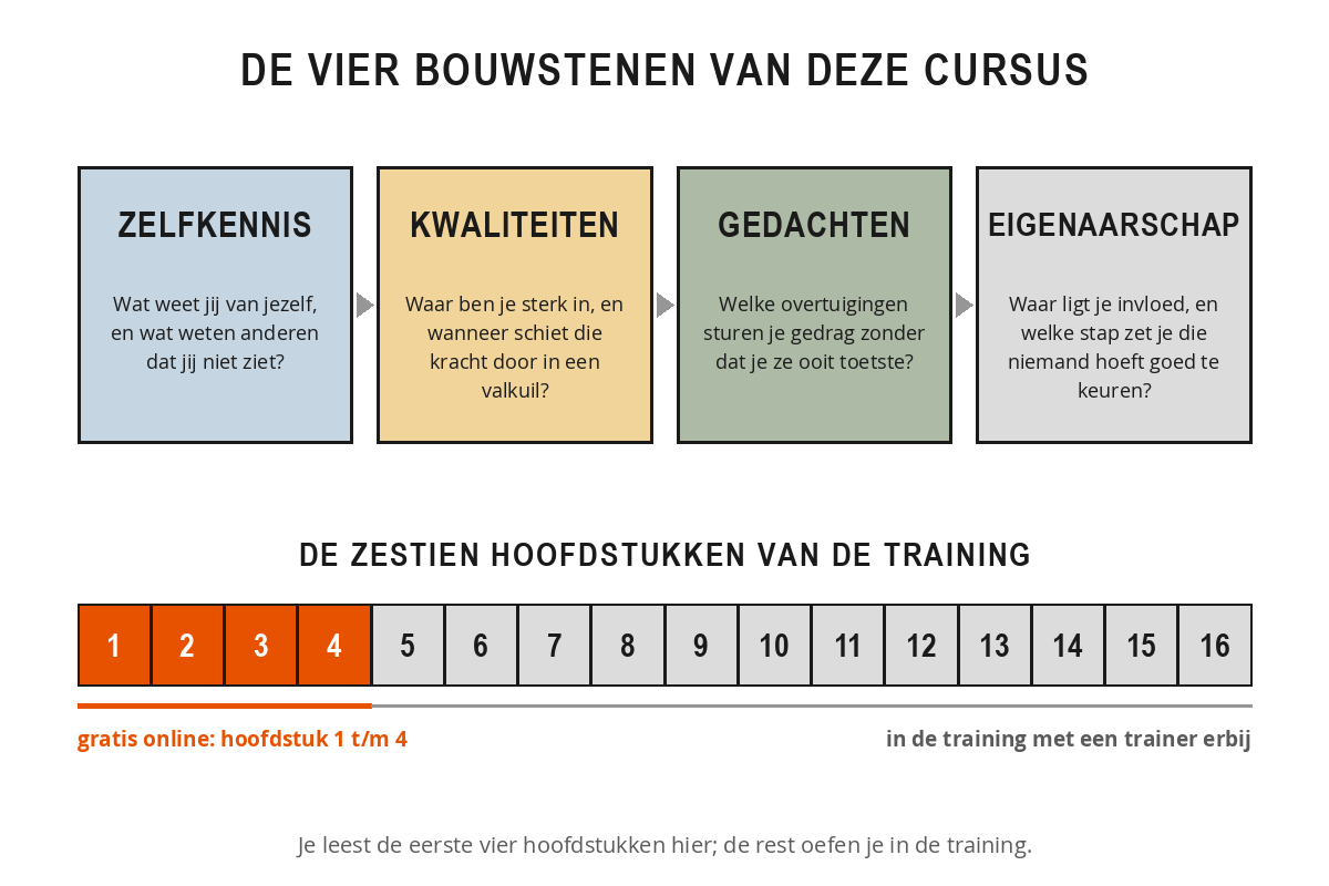 Schema van de opbouw van de cursus met de vier bouwstenen zelfkennis, kwaliteiten, gedachten en eigenaarschap, en een balk met zestien hoofdstukken waarvan de eerste vier gratis online staan.