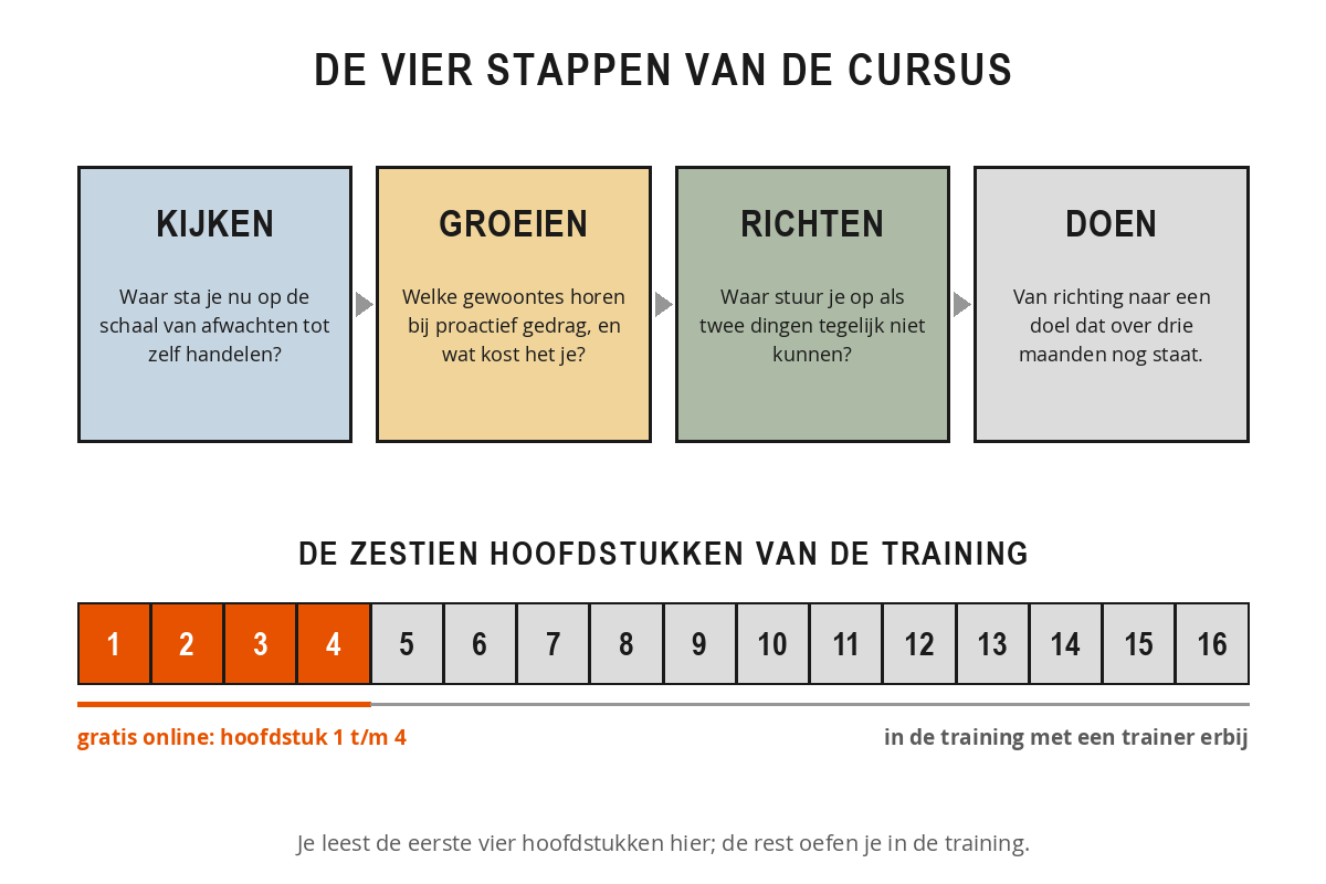 Schema van de opbouw van de cursus Proactief handelen met de vier stappen kijken, groeien, richten en doen, en een balk met zestien hoofdstukken waarvan de eerste vier gratis online staan.